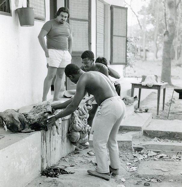 Serge à Séfa surveillant l'abattage d'un phacophère pour la popotte en 1973