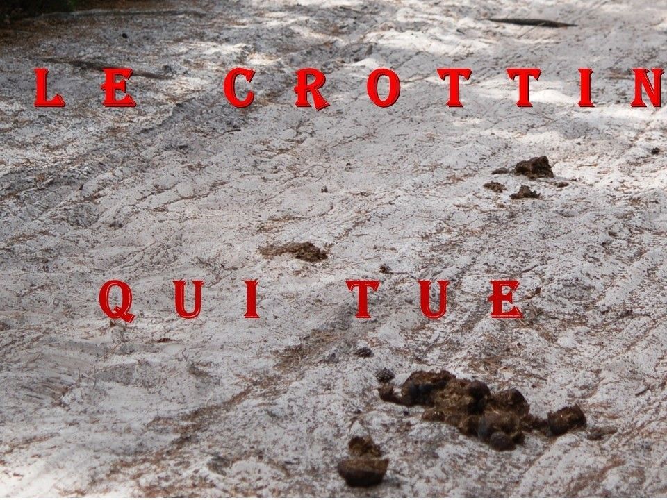lecrottin
