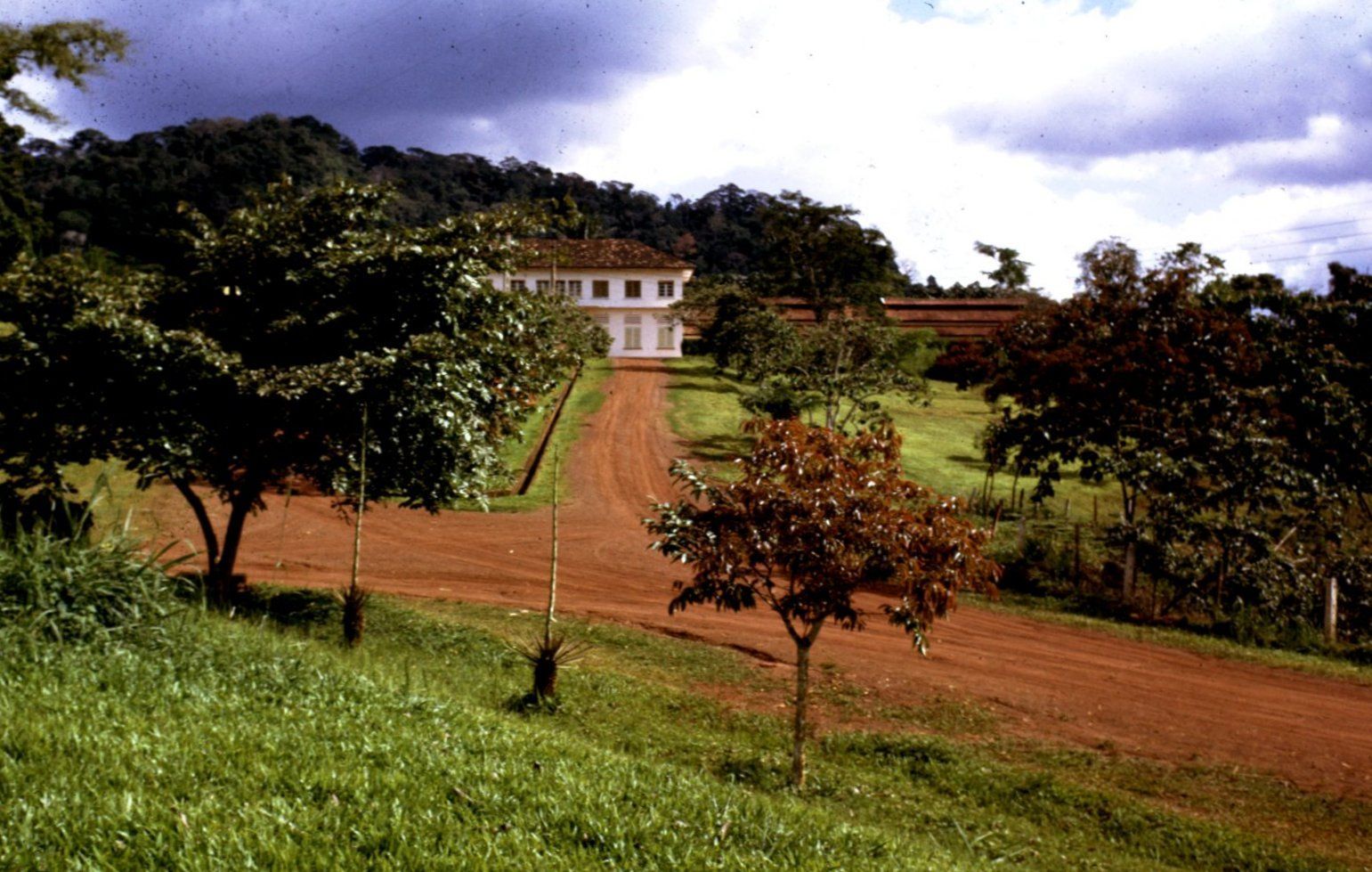 Le Centre agronomique de Nkolbisson