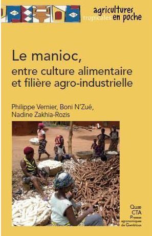 Manioc vernier OK pour site