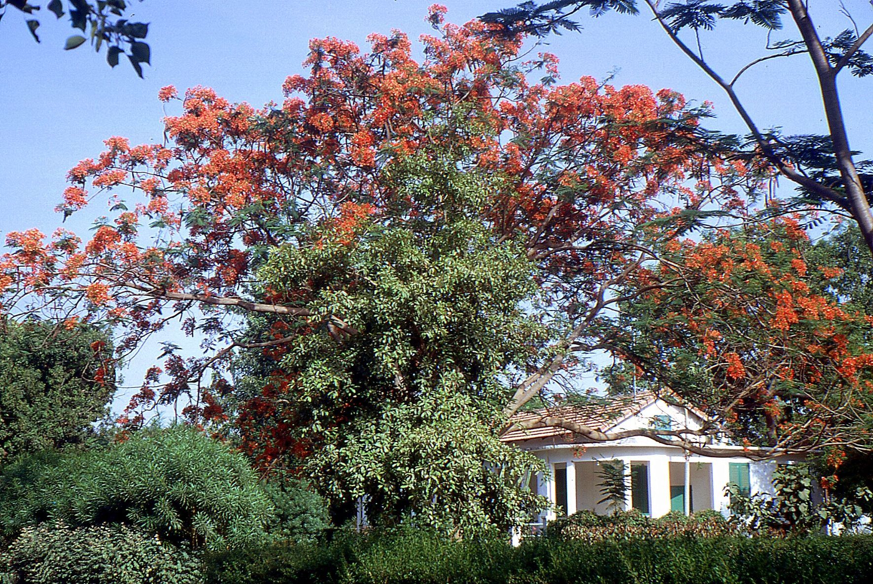 Une villa au CRA de Bambey cnrabambey1