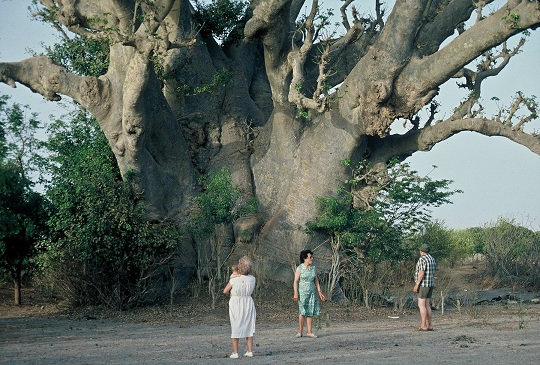 senegal