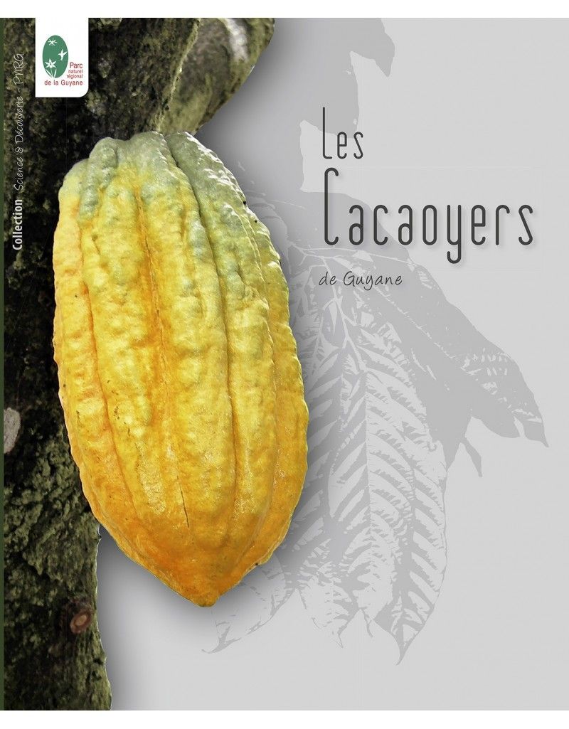 les cacaoyers de guyane